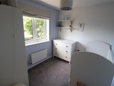 Picture 13